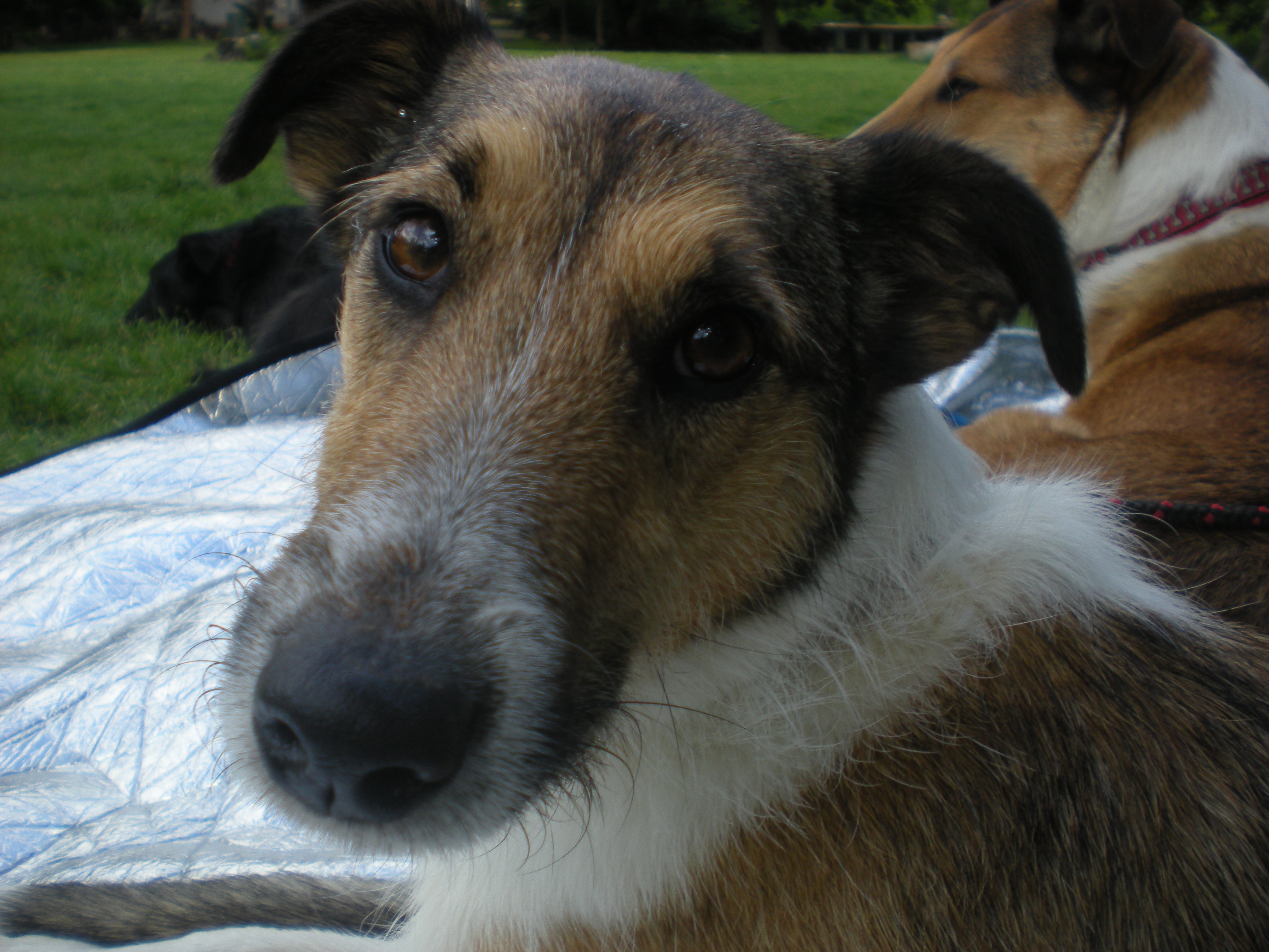 DSCN3073.JPG