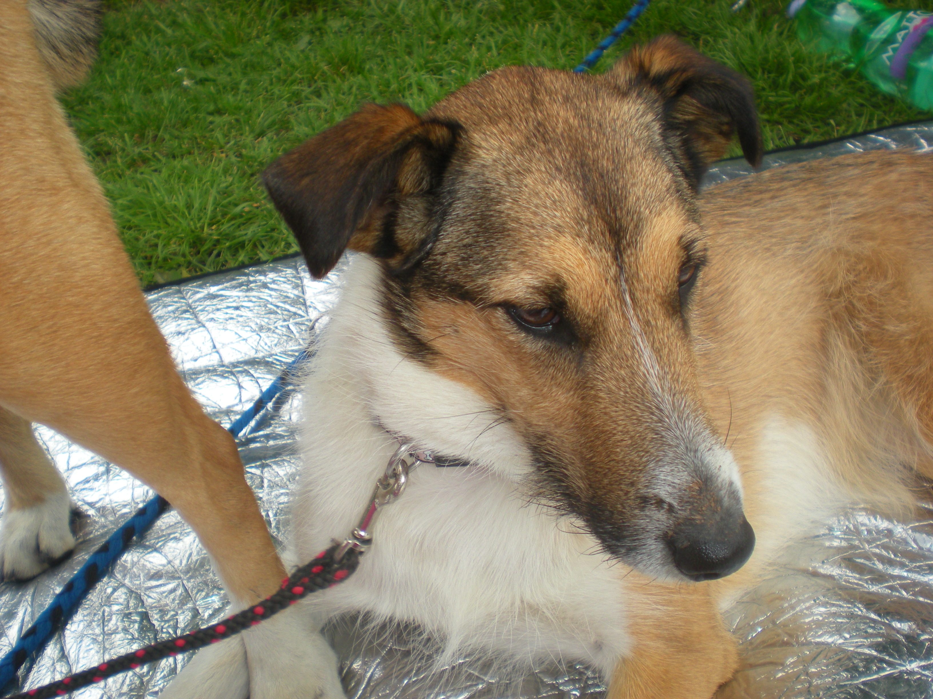 DSCN3047.JPG